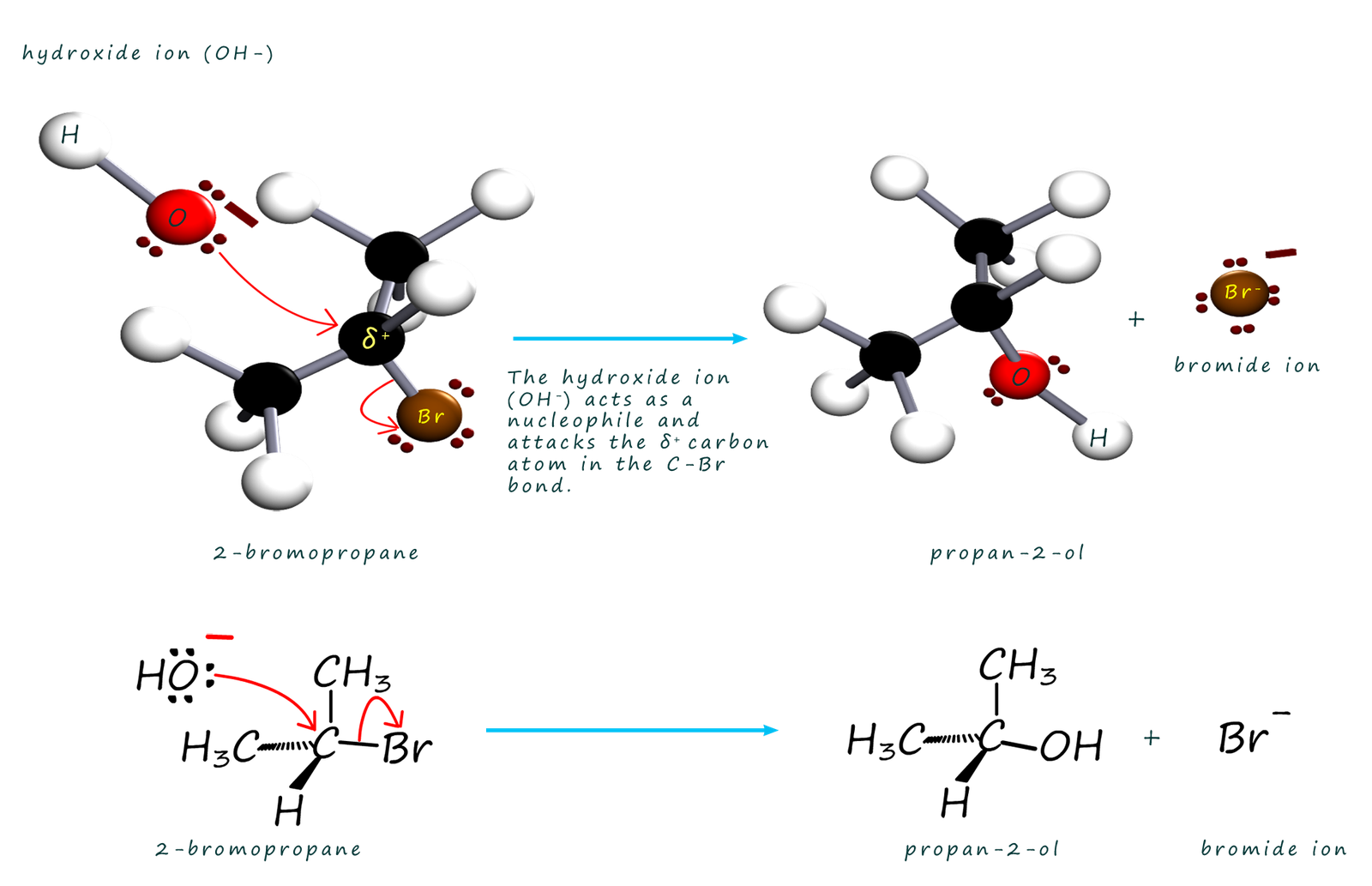 Image to show the nucleophilic substitution reaction of hydroxide ions attacking a haloalkane or halogenalkane molecule to form an alcohol.